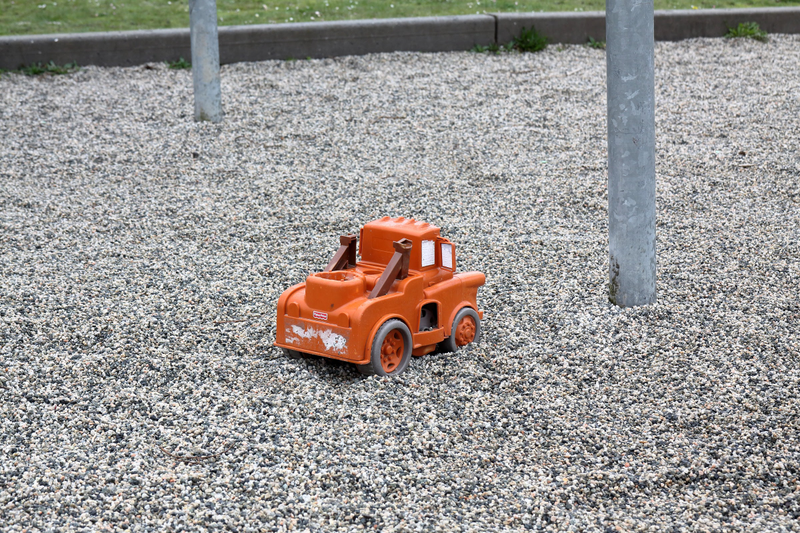 Illustration for article titled Pics from the Curbside: 2018-04-08 from Langara Gardens